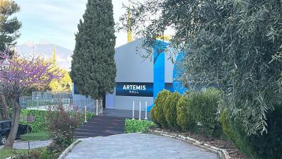 Δείτε την εικόνα του έργου